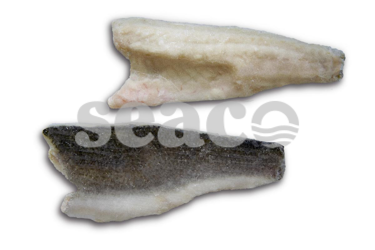 ❄ Zeebaarsfilet met vel 120-160g 5kg