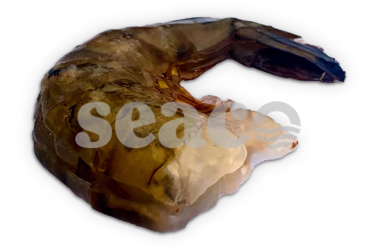 ❄ Gamba black tiger easy peel 13-15 1kg