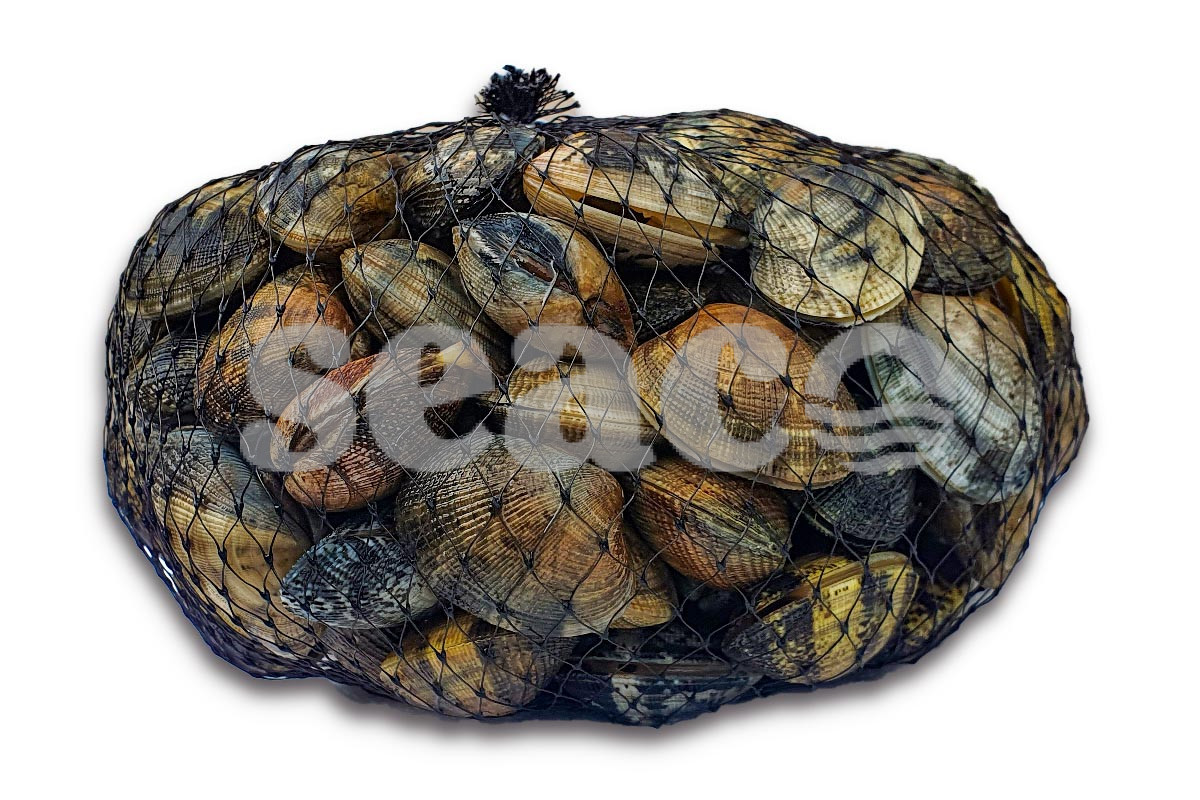 Vongole 1kg
