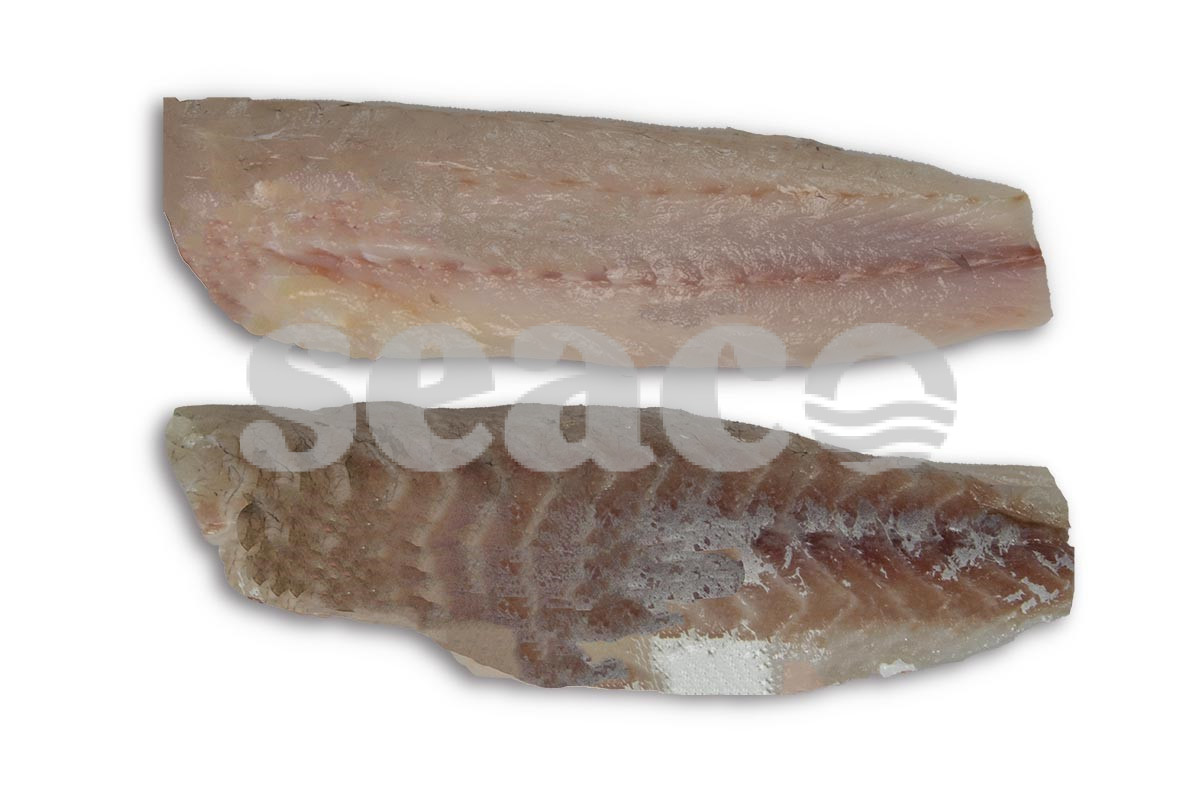 Zeebaarsfilet zonder vel 140-180g (600-800)