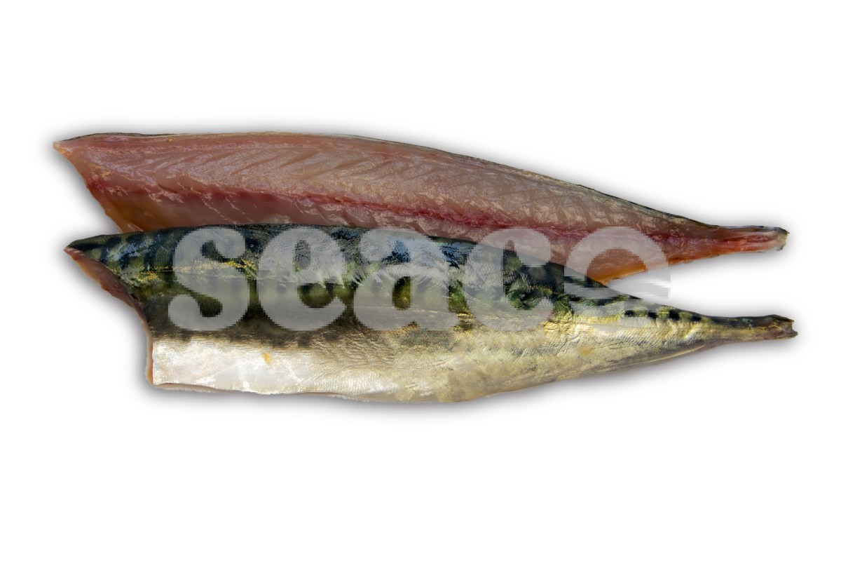 Makreelfilet met vel 80-120g