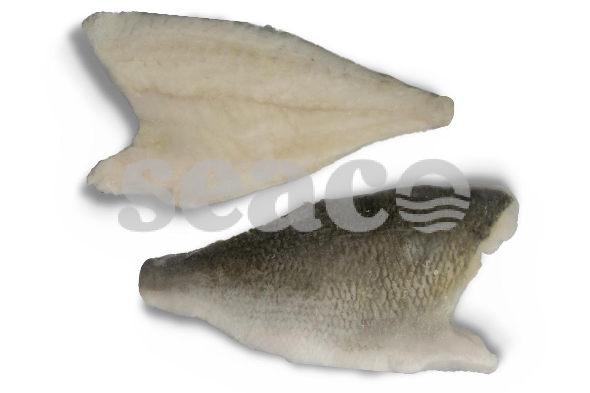 ❄ Dorade royalefilet met vel 120-160g 5kg DV