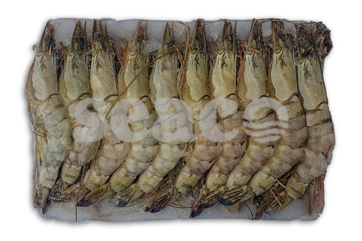 ❄ Gamba black tiger bodypeel 16-20 1kg