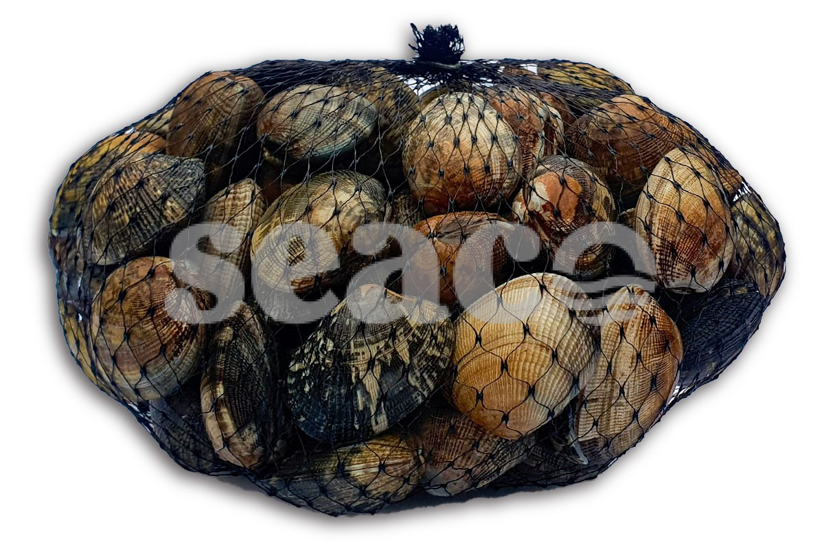 Palourdes 1kg