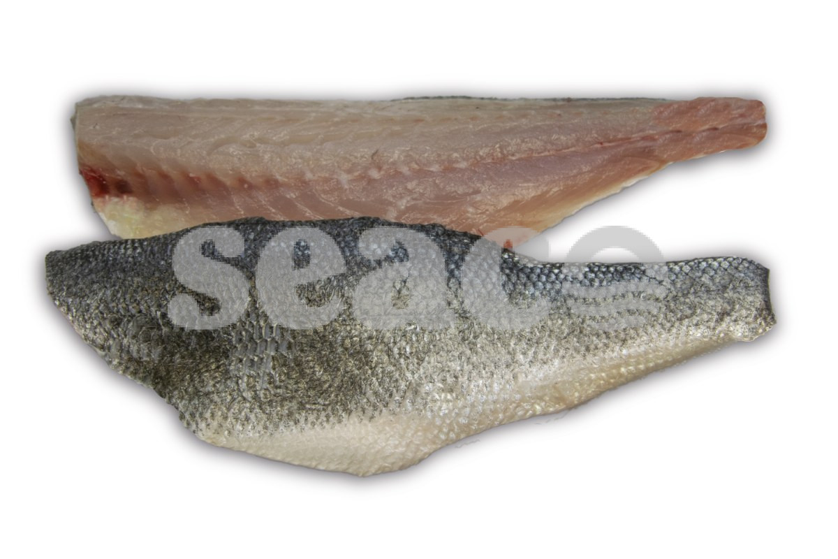 Zeebaarsfilet met vel 140-180g (600-800)