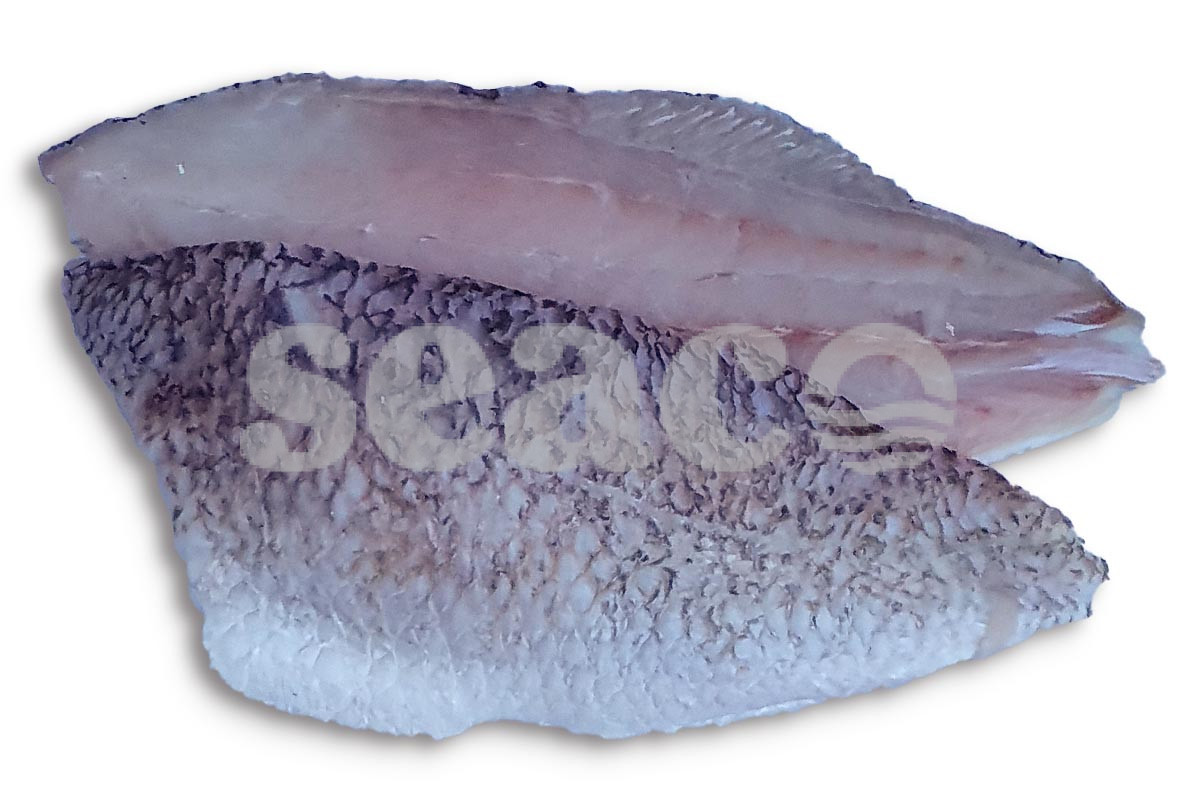 ❄ Barramundifilet met vel 170-230g 1kg