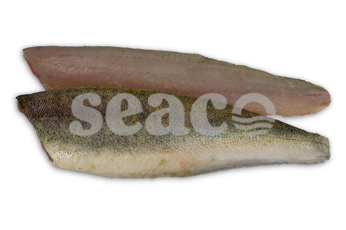 Snoekbaarsfilet met vel 300-500g