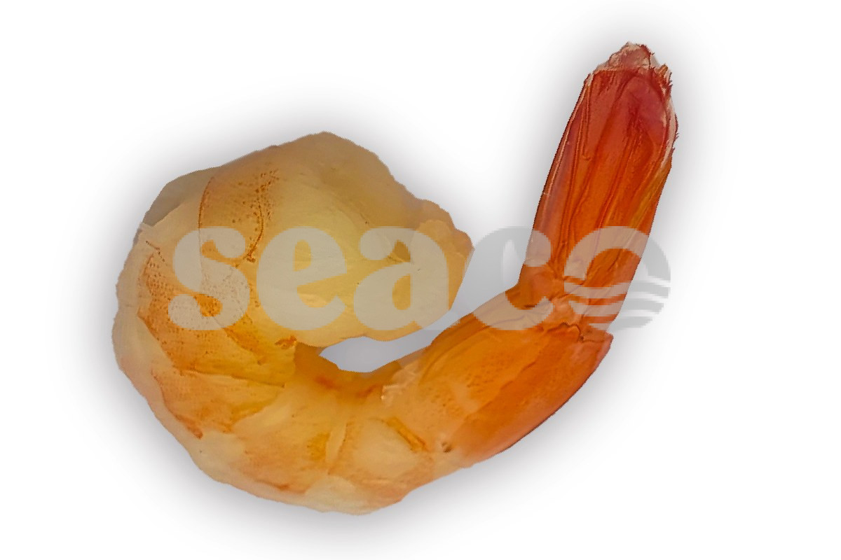 ❄ Gamba vannamei CPTO 26-30 1kg DV