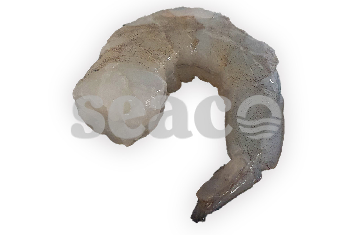 ❄ Gamba vannamei gepeld 16-20 1kg