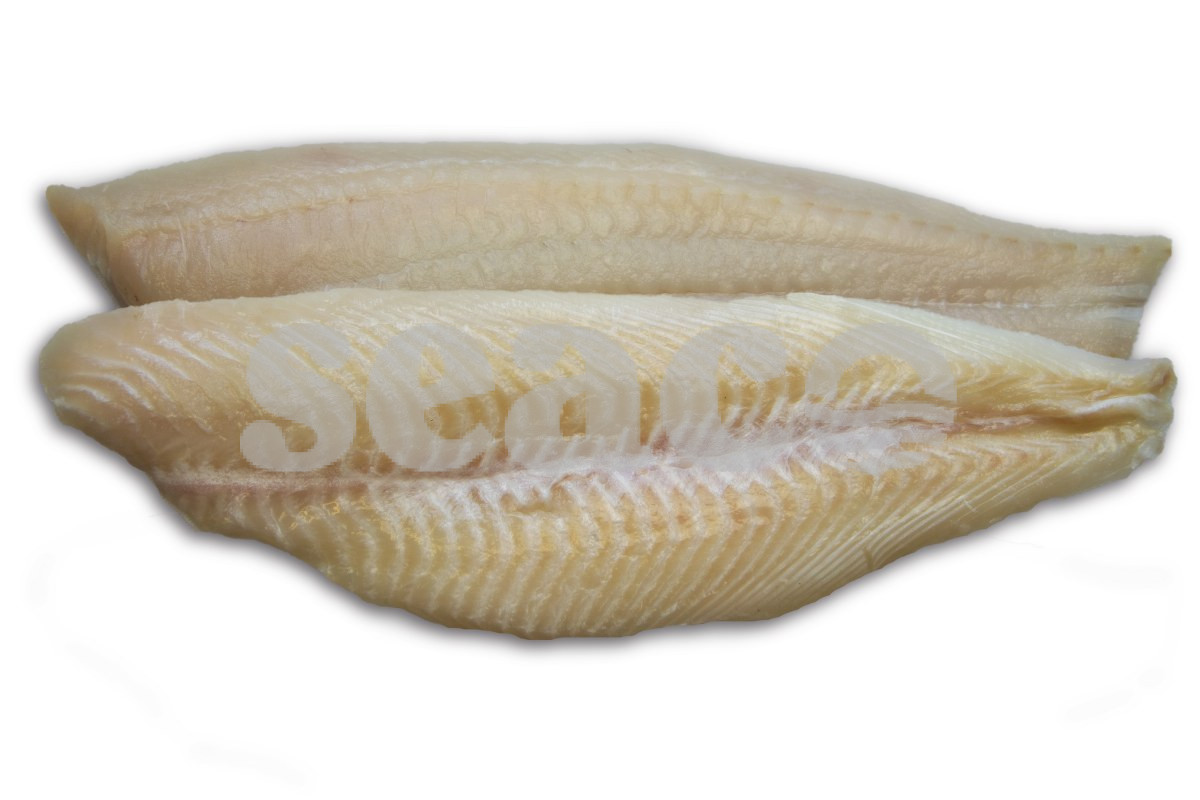 Scholfilet (2) zonder vel <100g