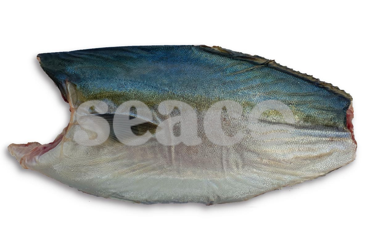 ❄ Yellowtail kingfishfilet (hamachi) met vel
