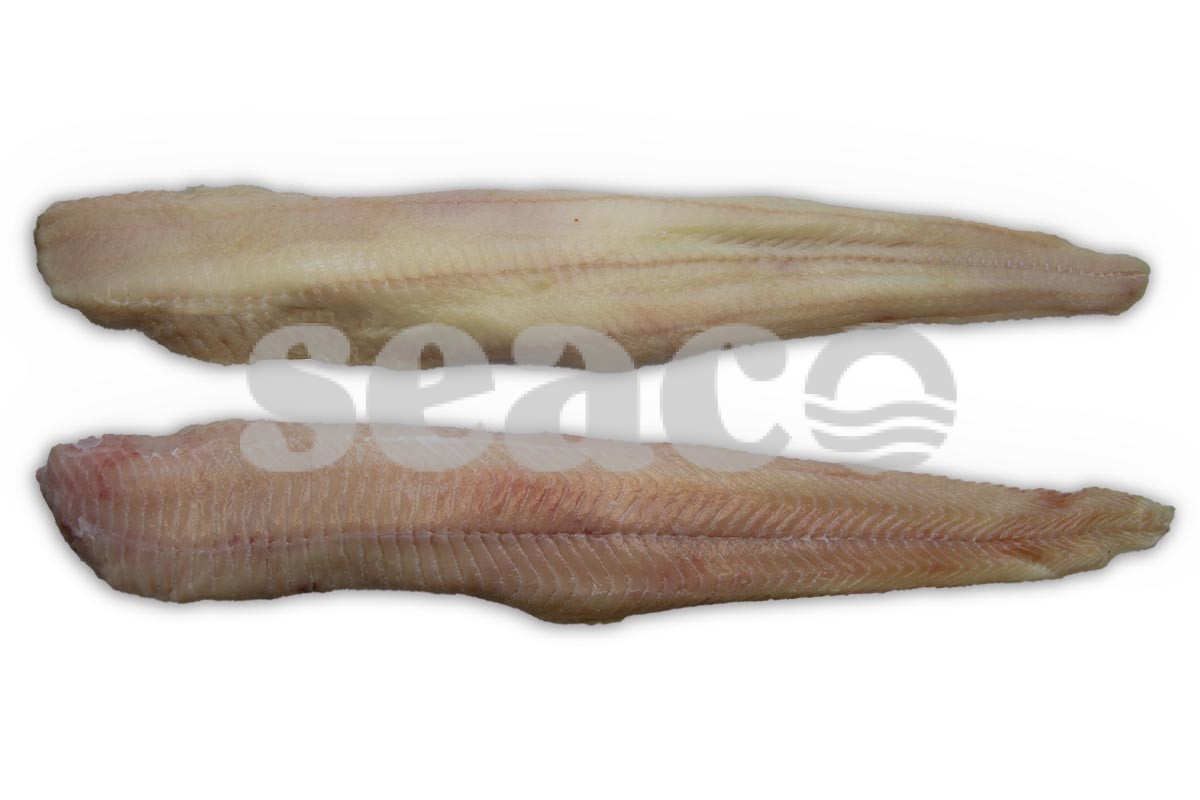 Zeewolffilet zonder vel <800g