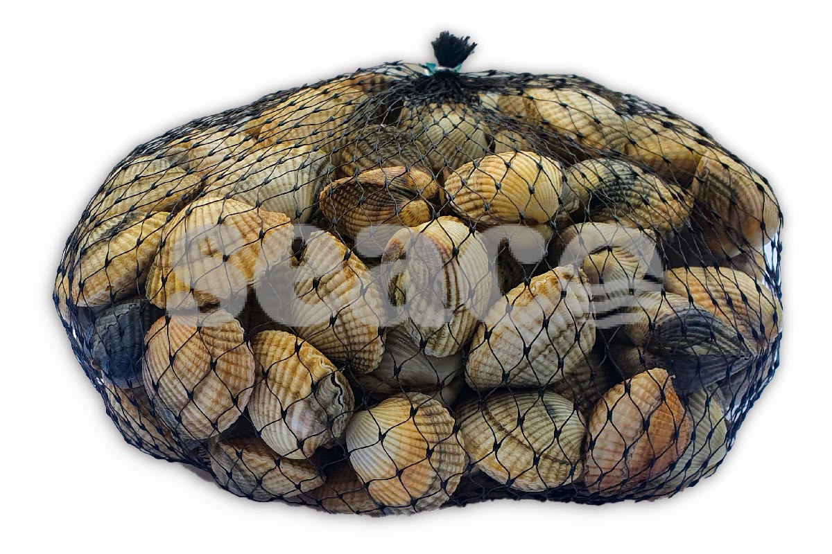 Kokkels 1kg