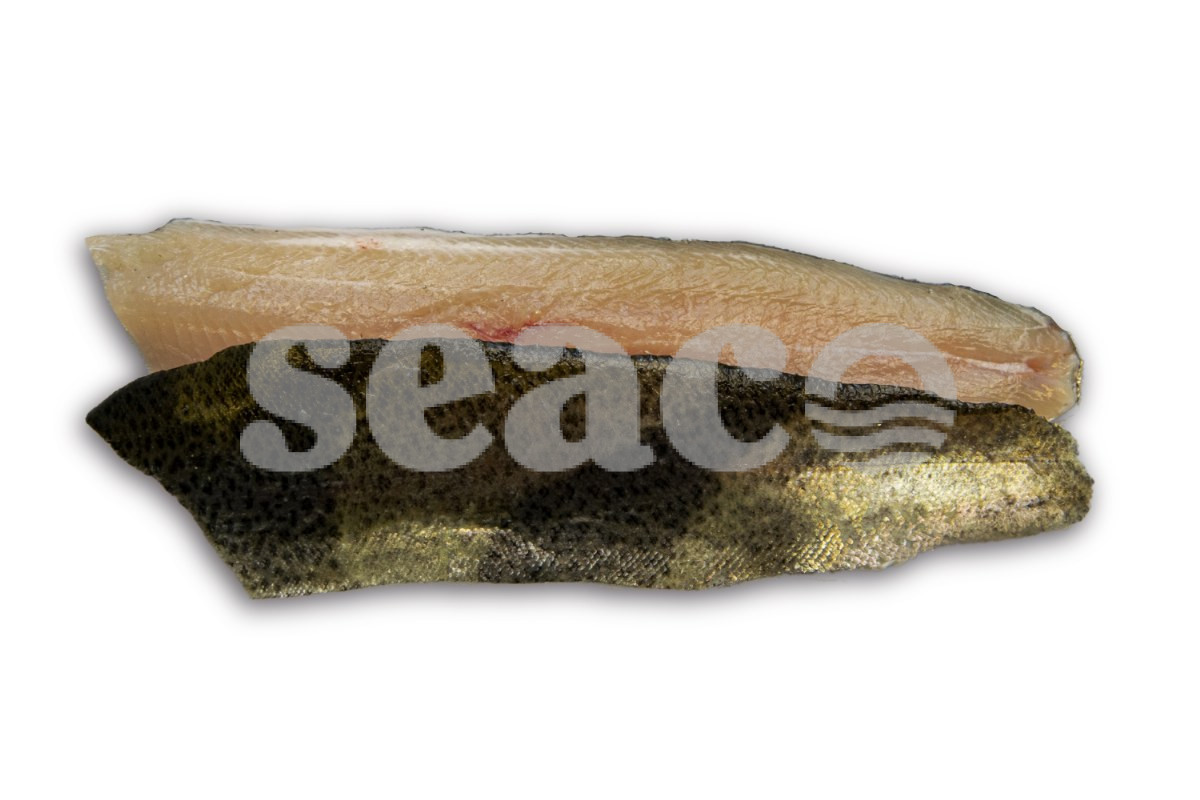Forelfilet met vel 90-110g