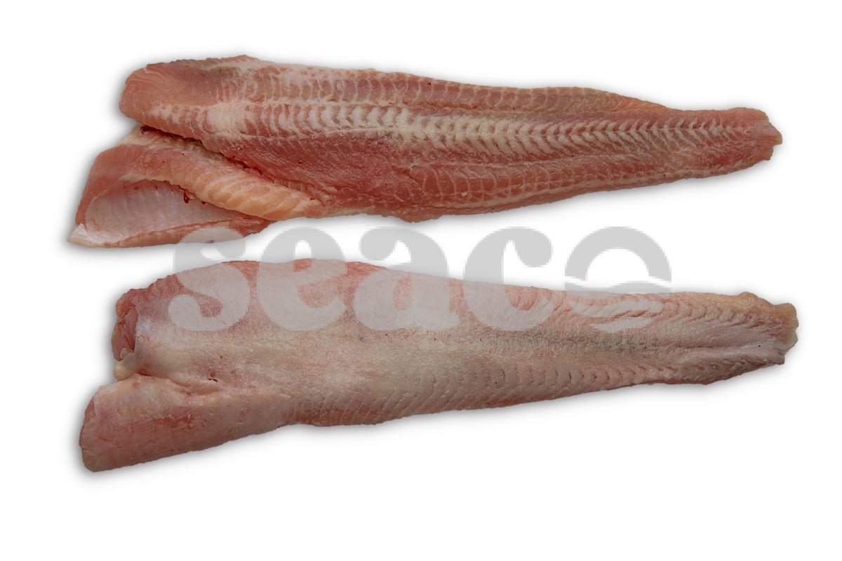 Meervalfilet zonder vel 200-400g