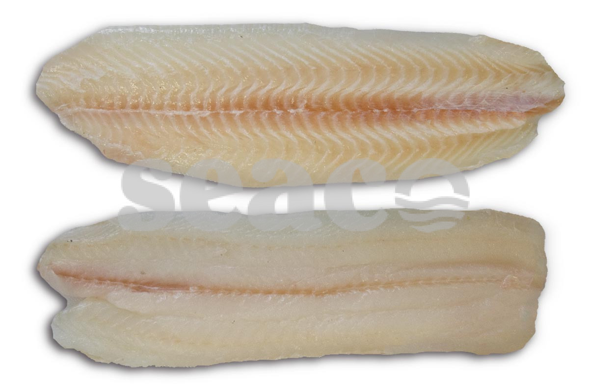 Tongfilet zonder vel (400-500)