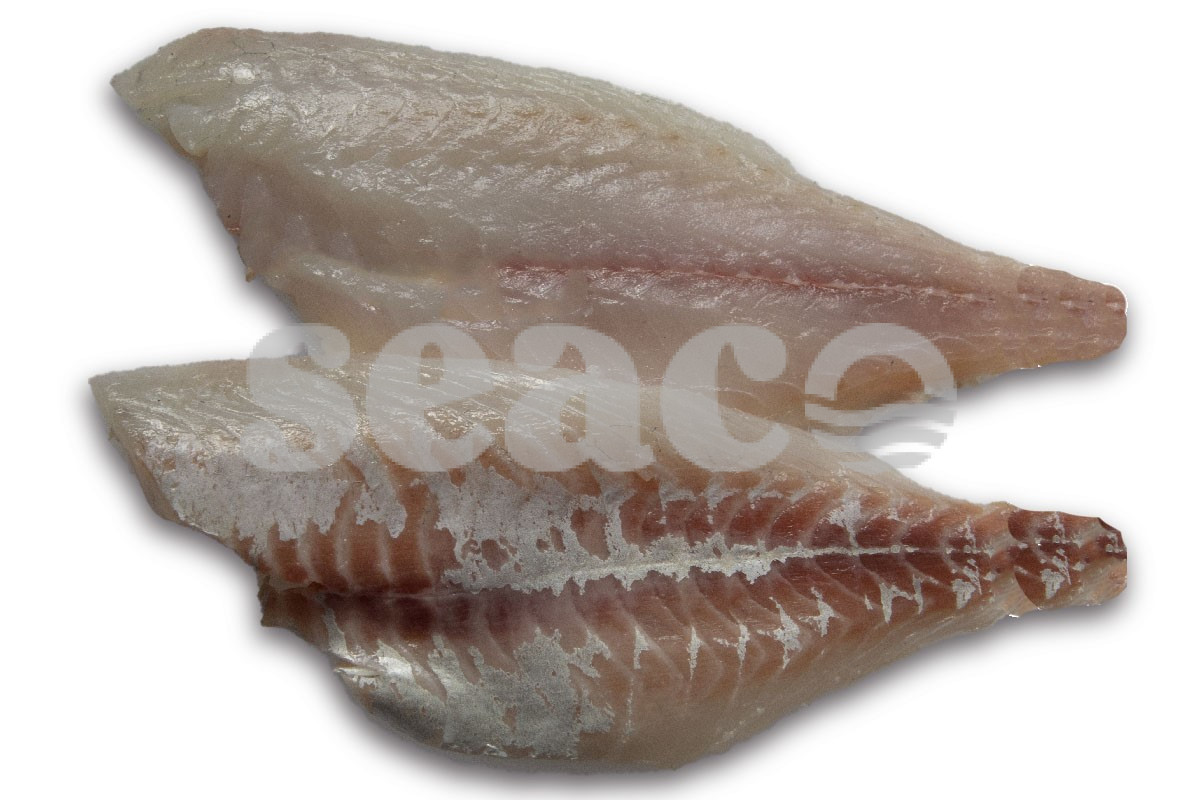Dorade royalefilet zonder vel 100-140g (400-600)