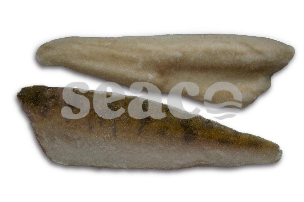 ❄ Snoekbaarsfilet met vel 170-230 5kg