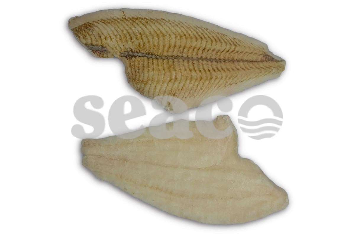 ❄ Scholfilet 120g+ 5kg
