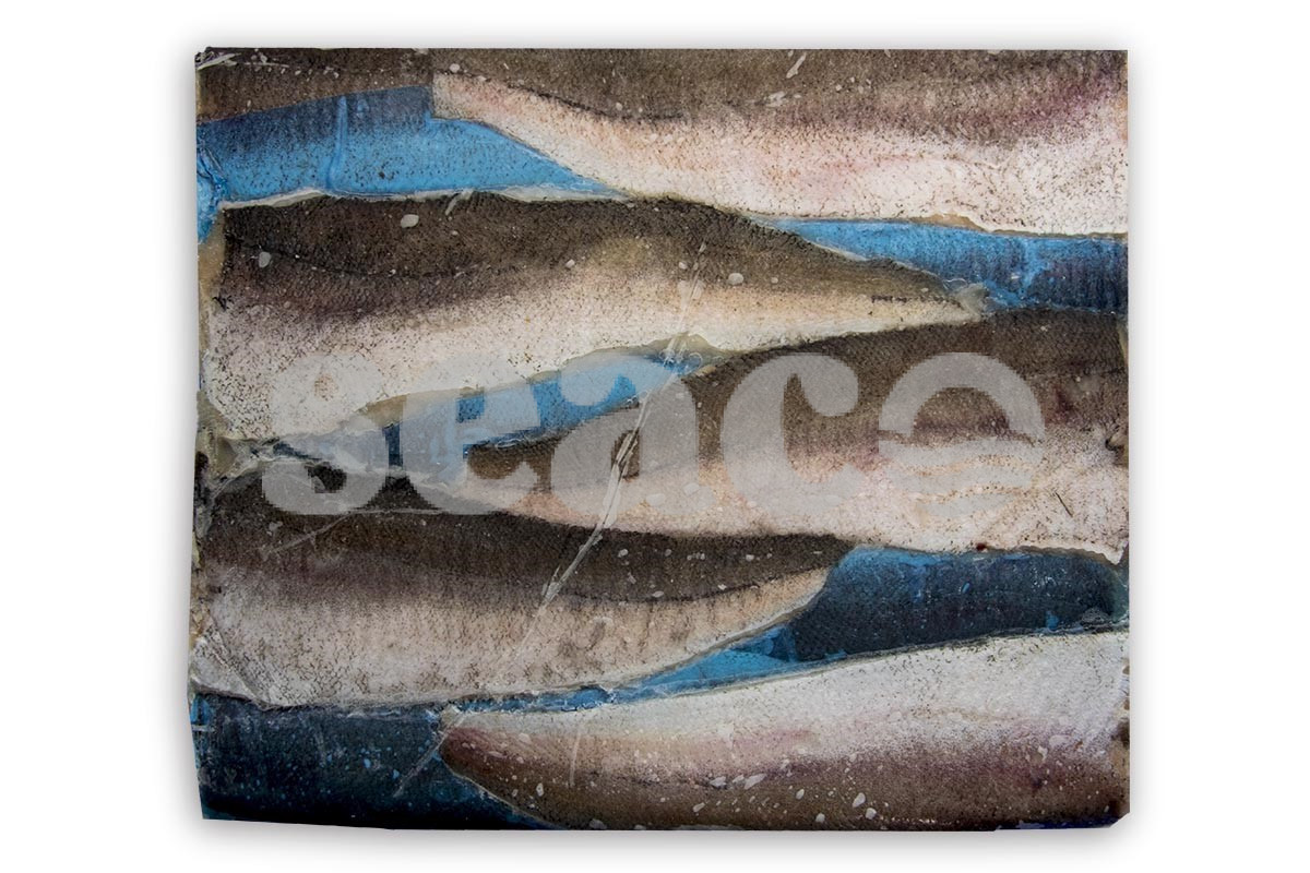 ❄ Heekfilet met vel zonder graat (4-6) 113-170g 5kg