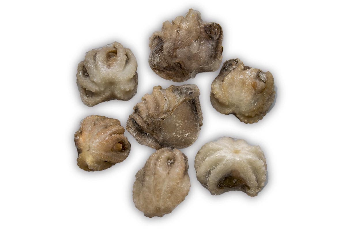 ❄ Baby octopus 1kg