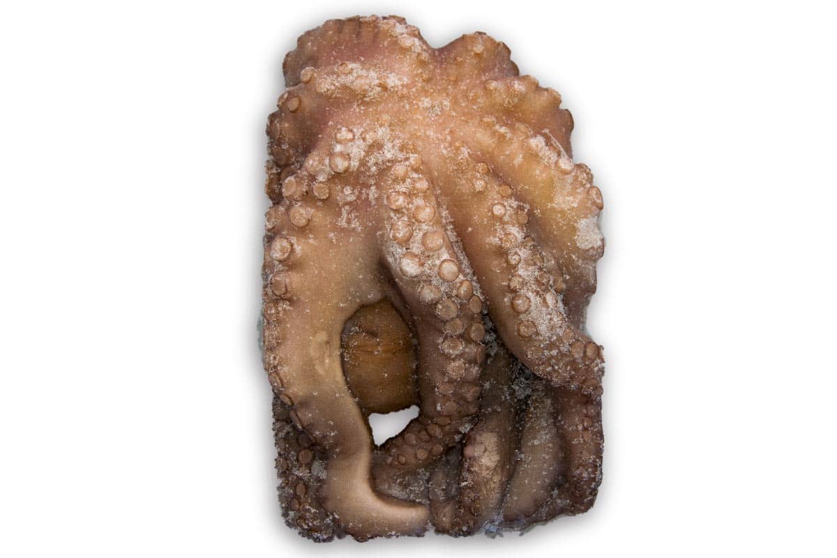 ❄ Octopus 1-2kg (poulpe)