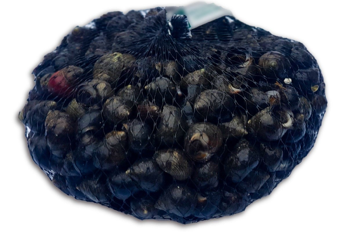 Alikruik 1kg