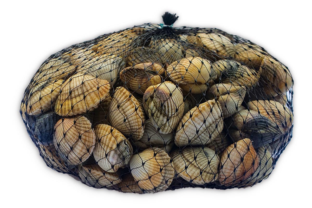 Kokkels 1kg