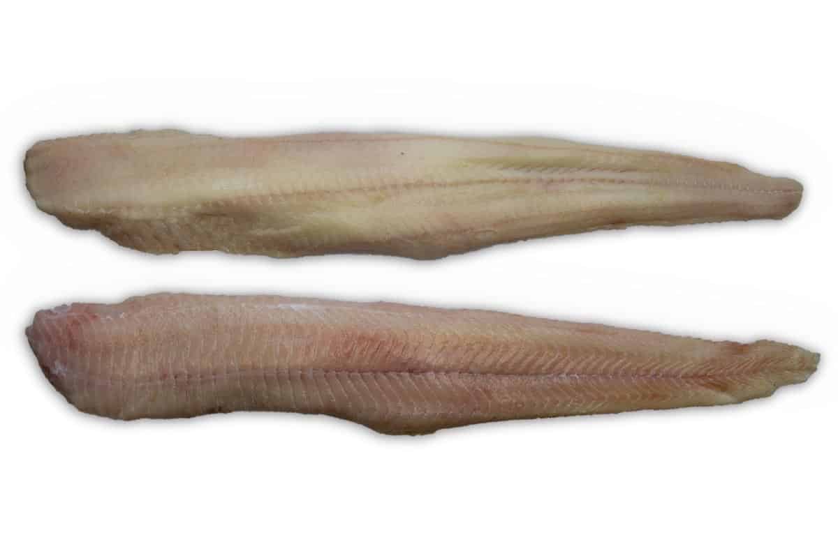 Zeewolffilet zonder vel >800g