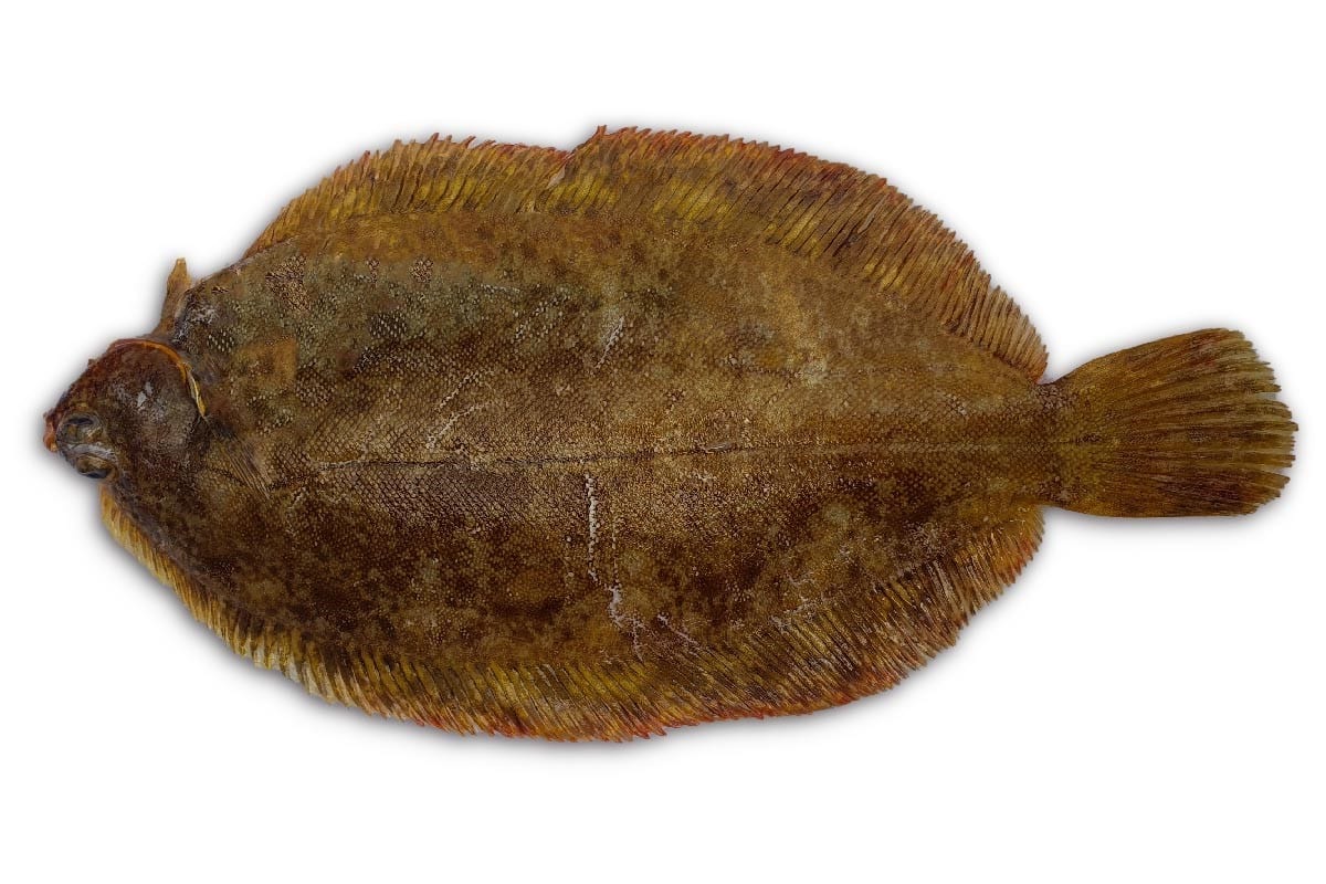 Tongschar (2) 350-500g